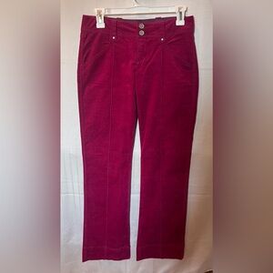 Pink Pants  Anthropologie Daughter of the Liberation Size 2